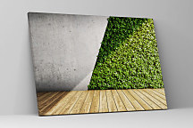 Obraz Vertikálna zelená záhrada na betónovej stene 2031